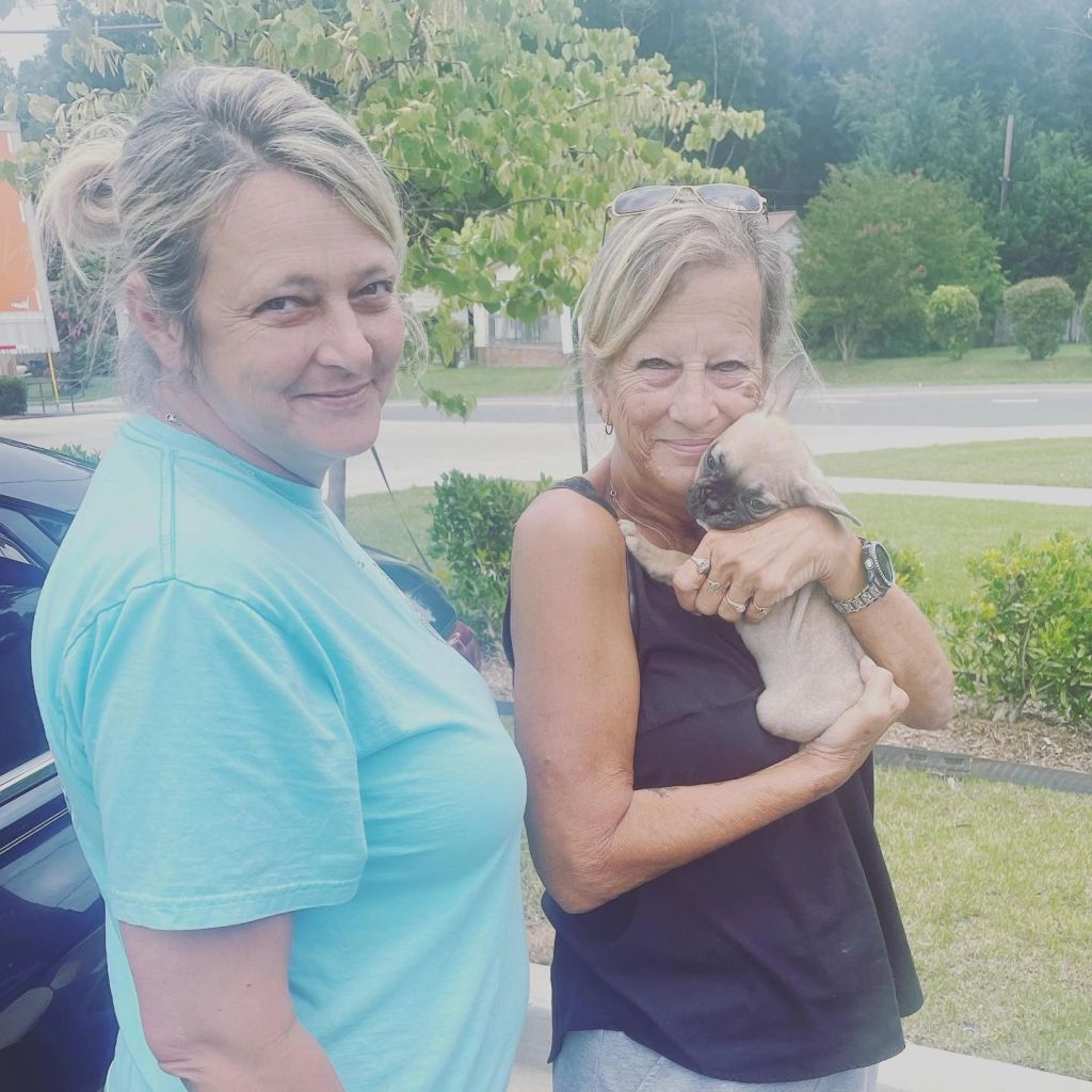 Frenchieful French Bulldog puppy, one of our previous pups