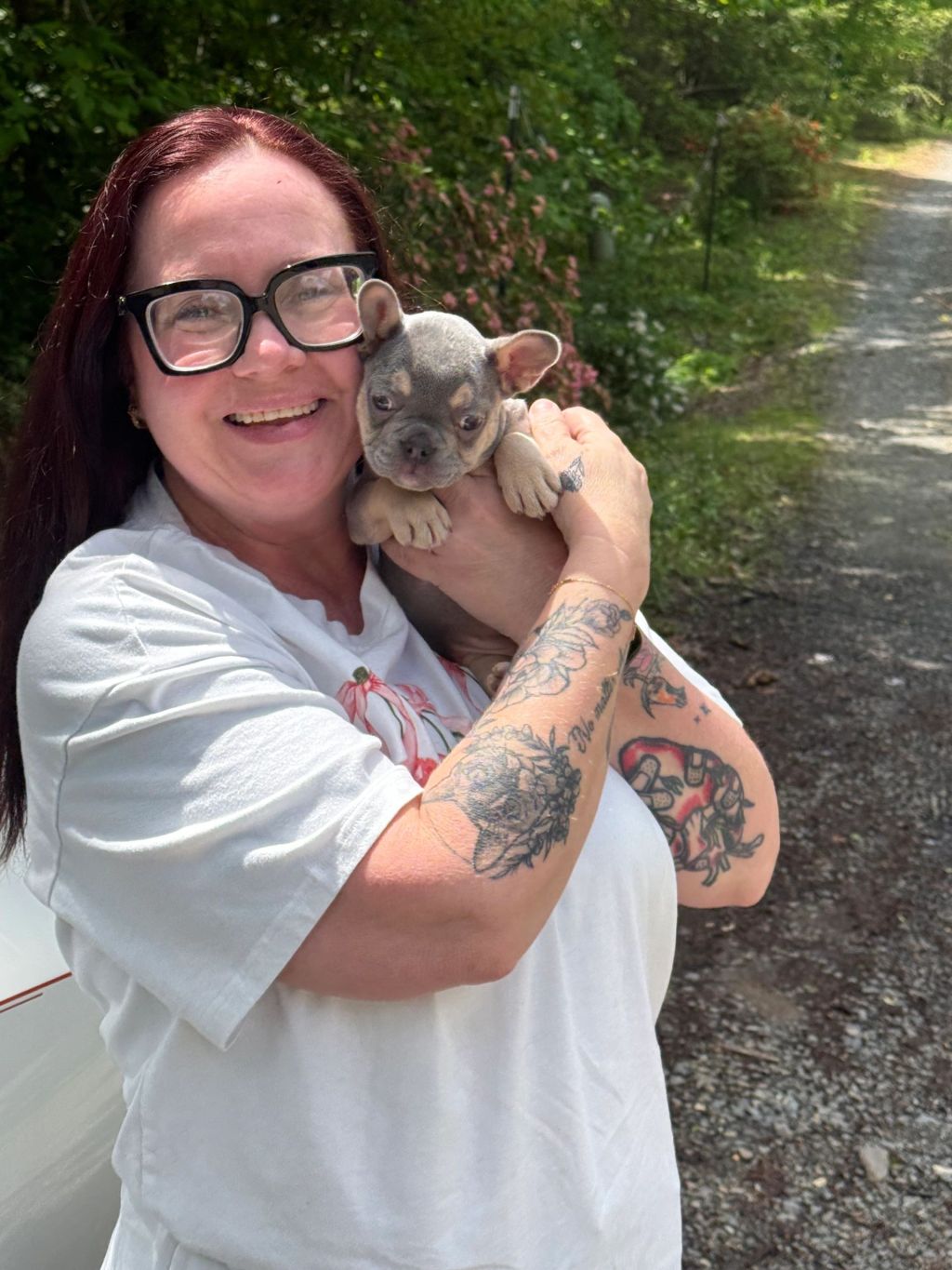 Frenchieful French Bulldog puppy, one of our previous pups