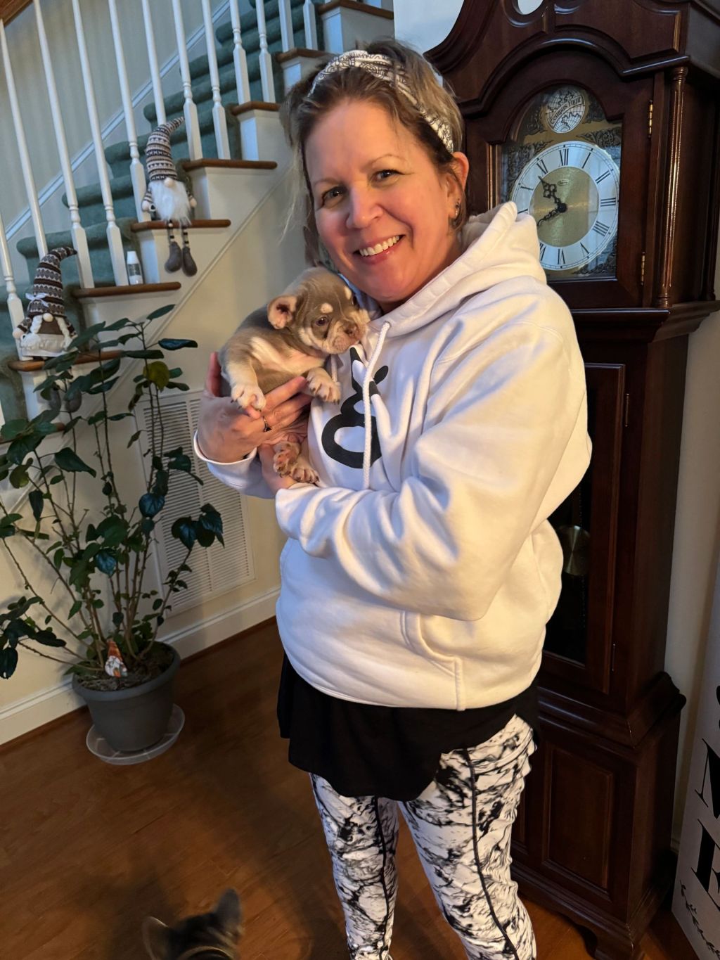 Frenchieful French Bulldog puppy, one of our previous pups